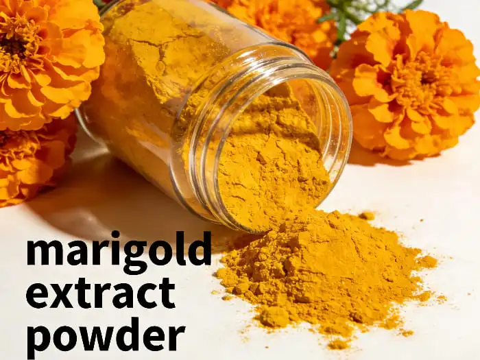 Antioxidant Properties of Marigold Extract